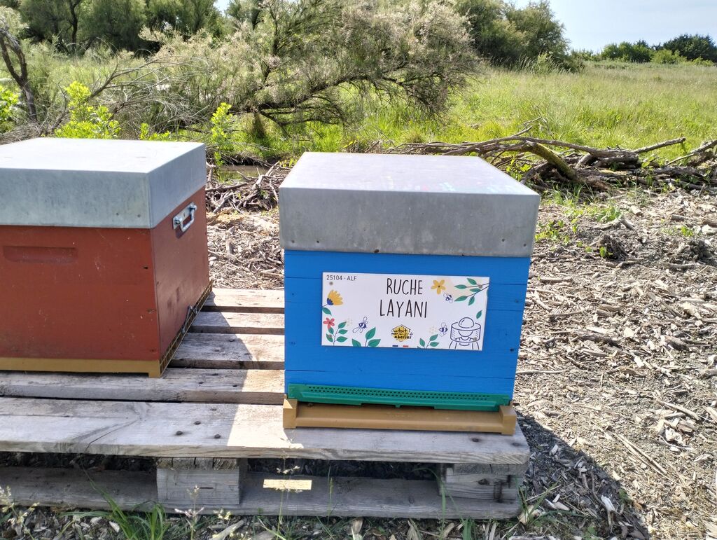 La ruche Layani