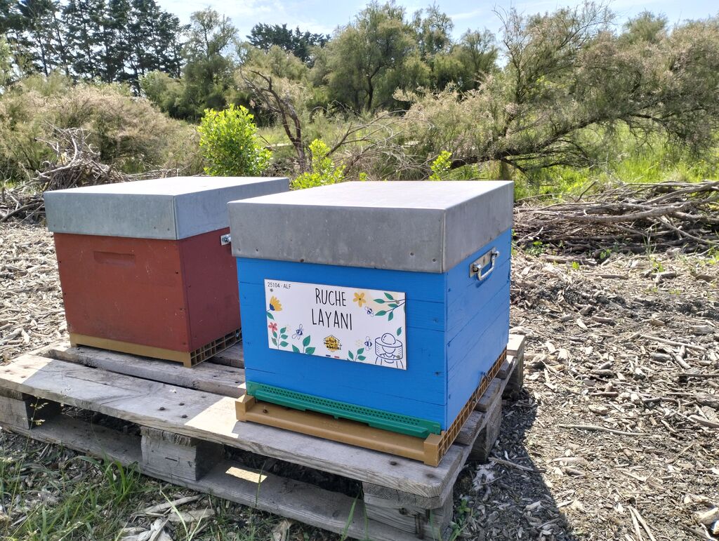 La ruche Layani