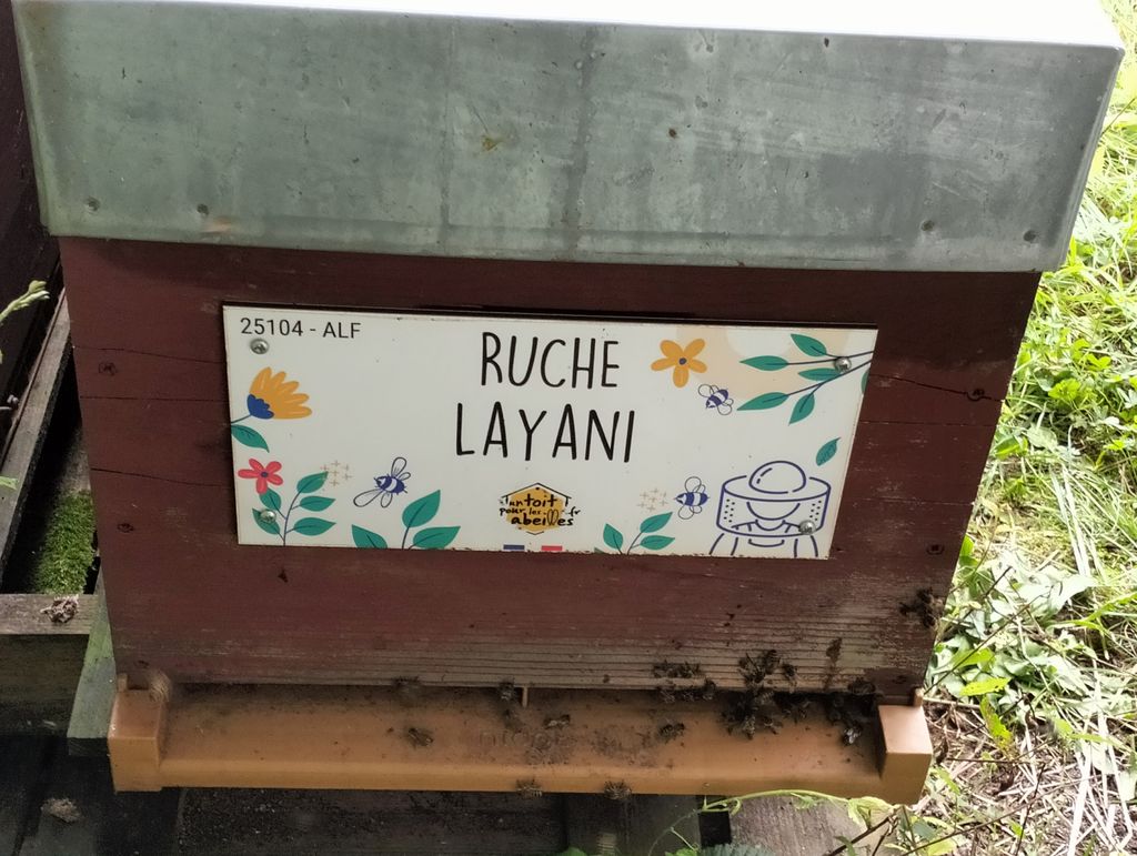 La ruche Layani