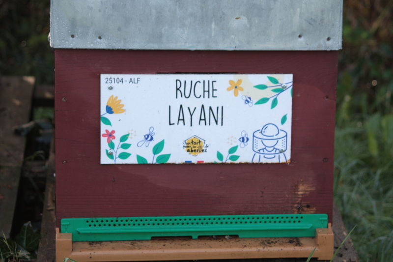 La ruche Layani