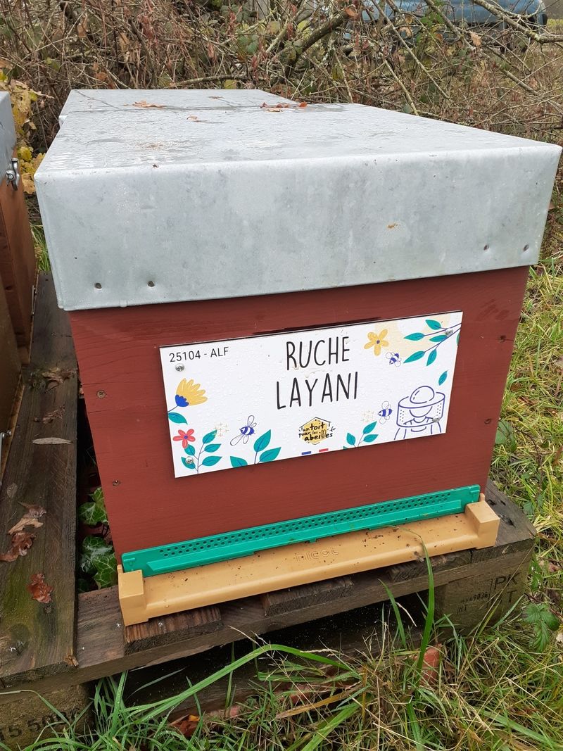La ruche Layani