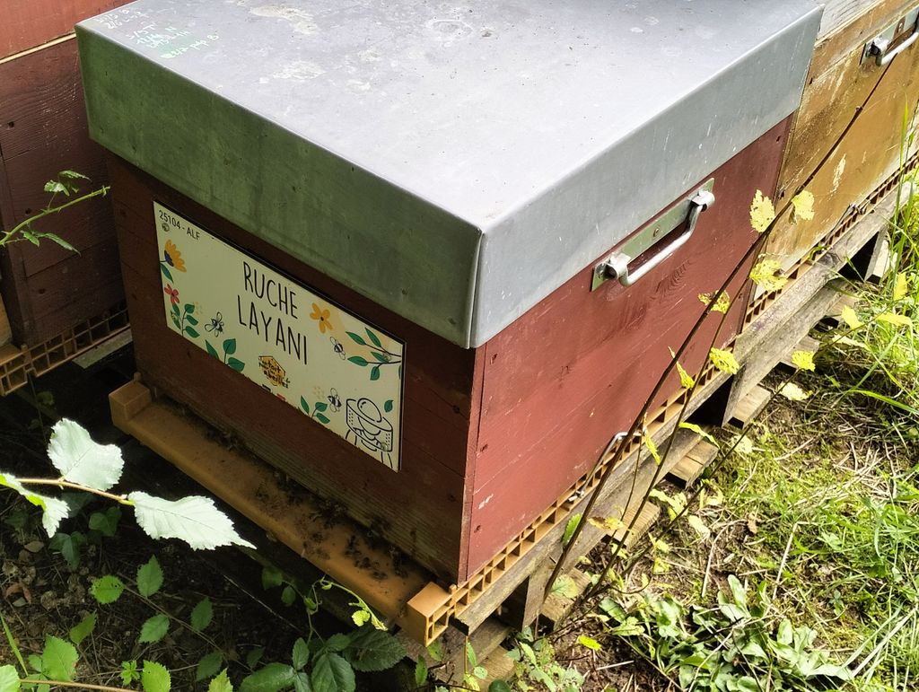 La ruche Layani