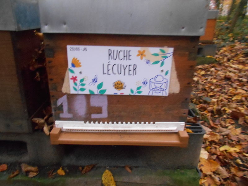 La ruche Lécuyer