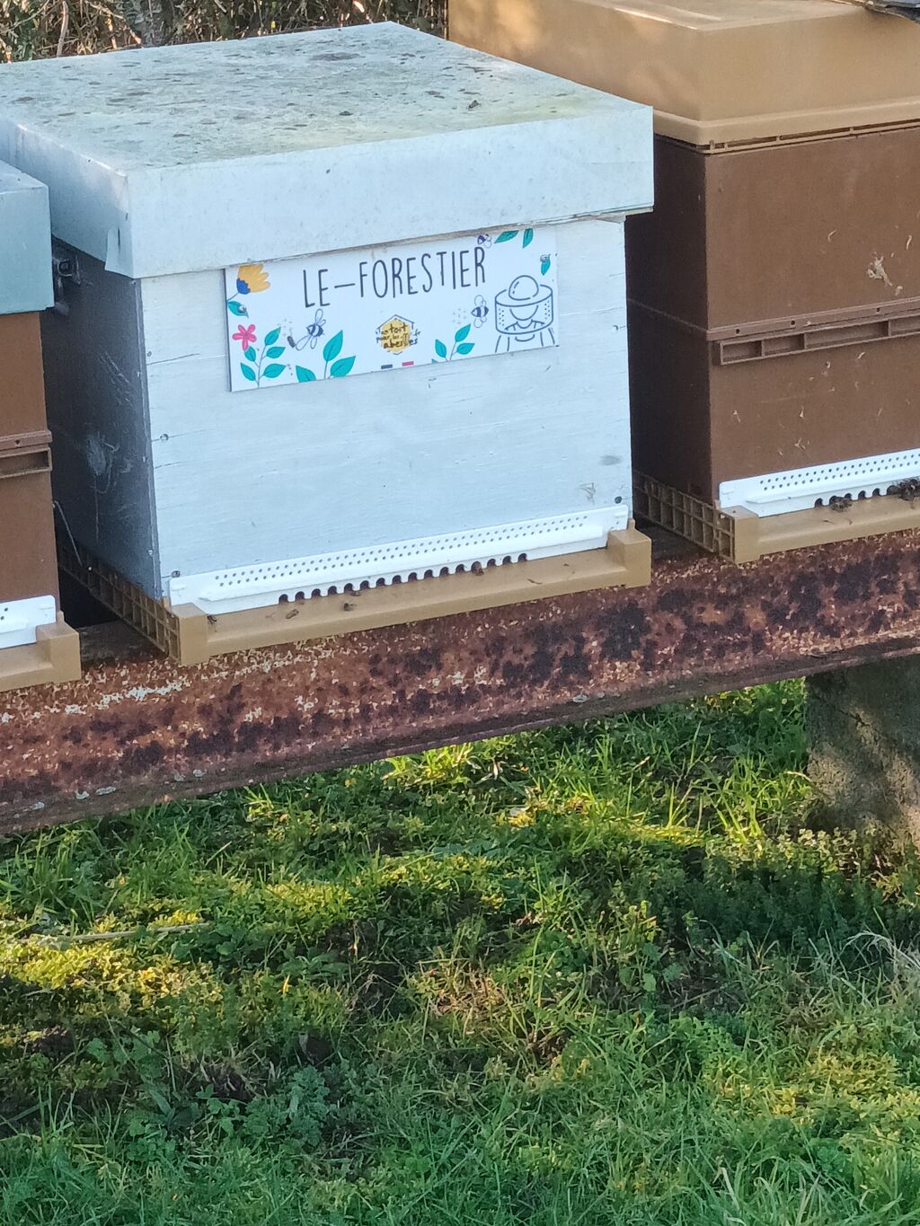 La ruche Le-Forestier