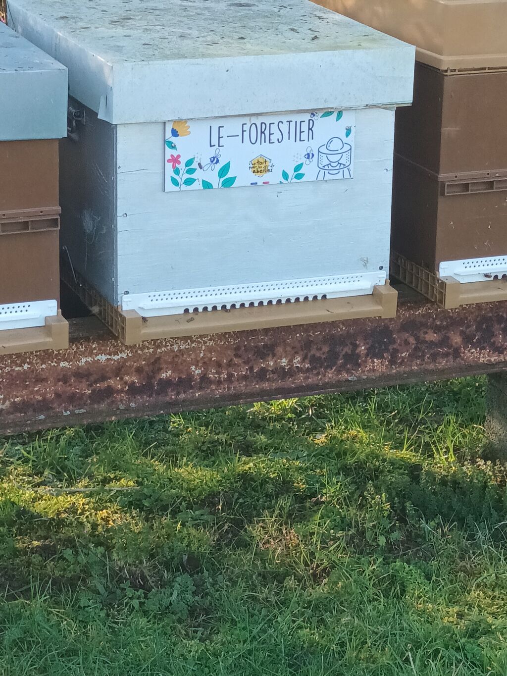 La ruche Le-Forestier