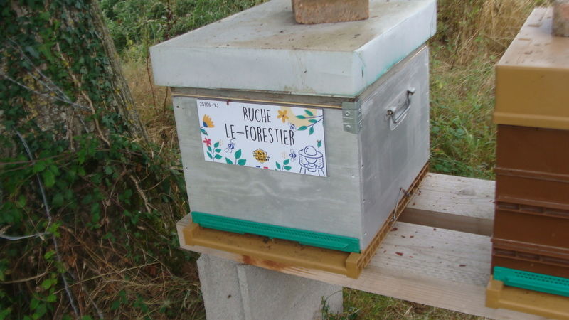 La ruche Le-Forestier