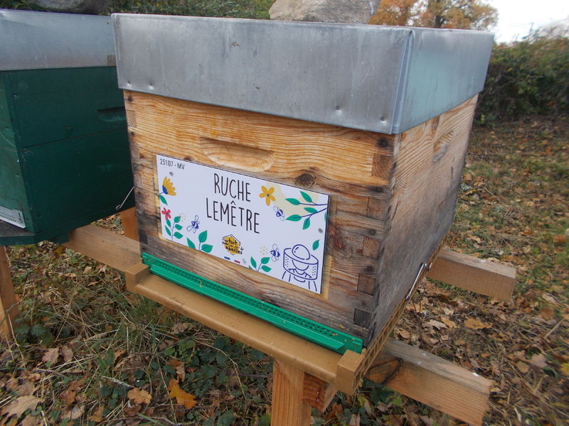 La ruche Lemêtre