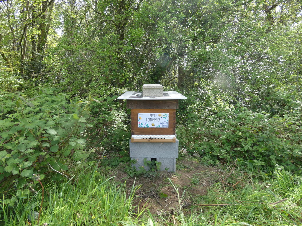 La ruche Lemonnier
