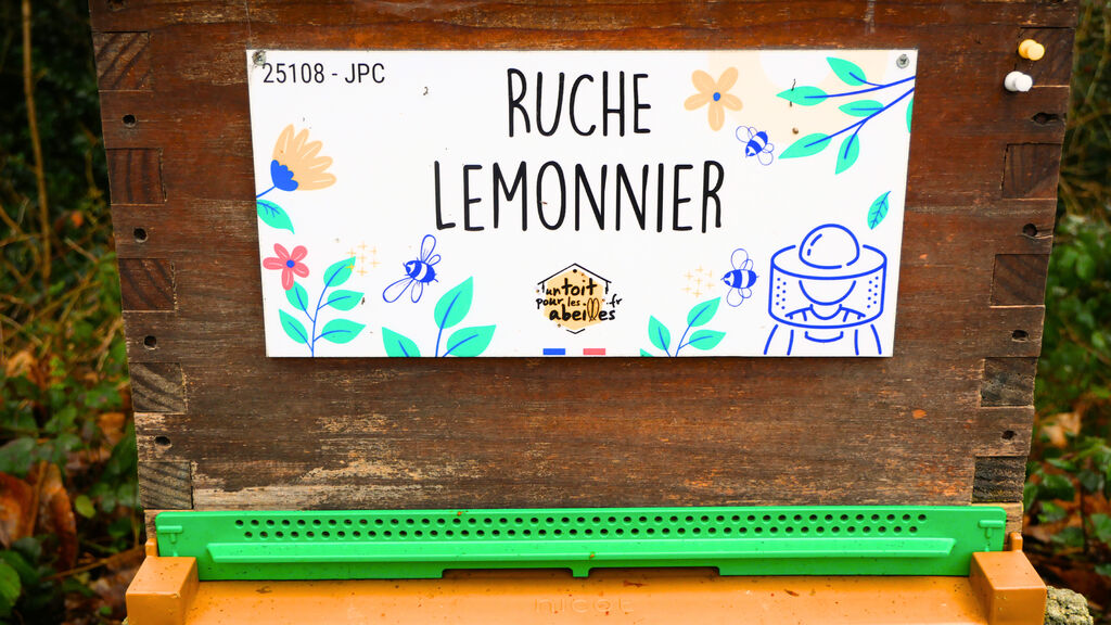 La ruche Lemonnier