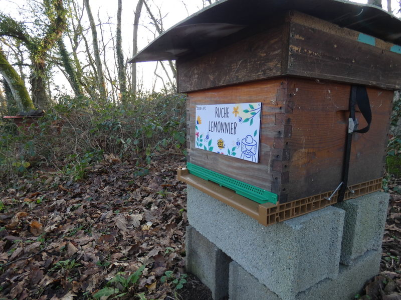 La ruche Lemonnier