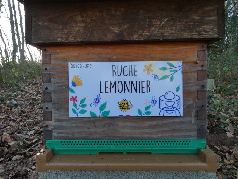 La ruche Lemonnier