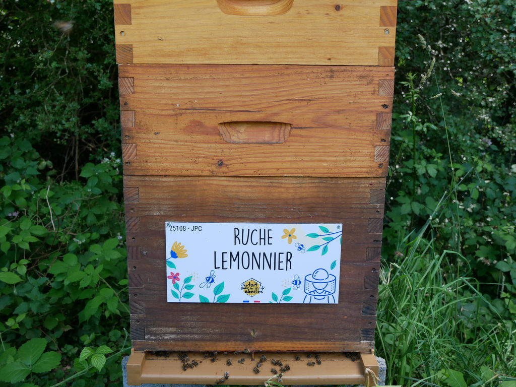 La ruche Lemonnier