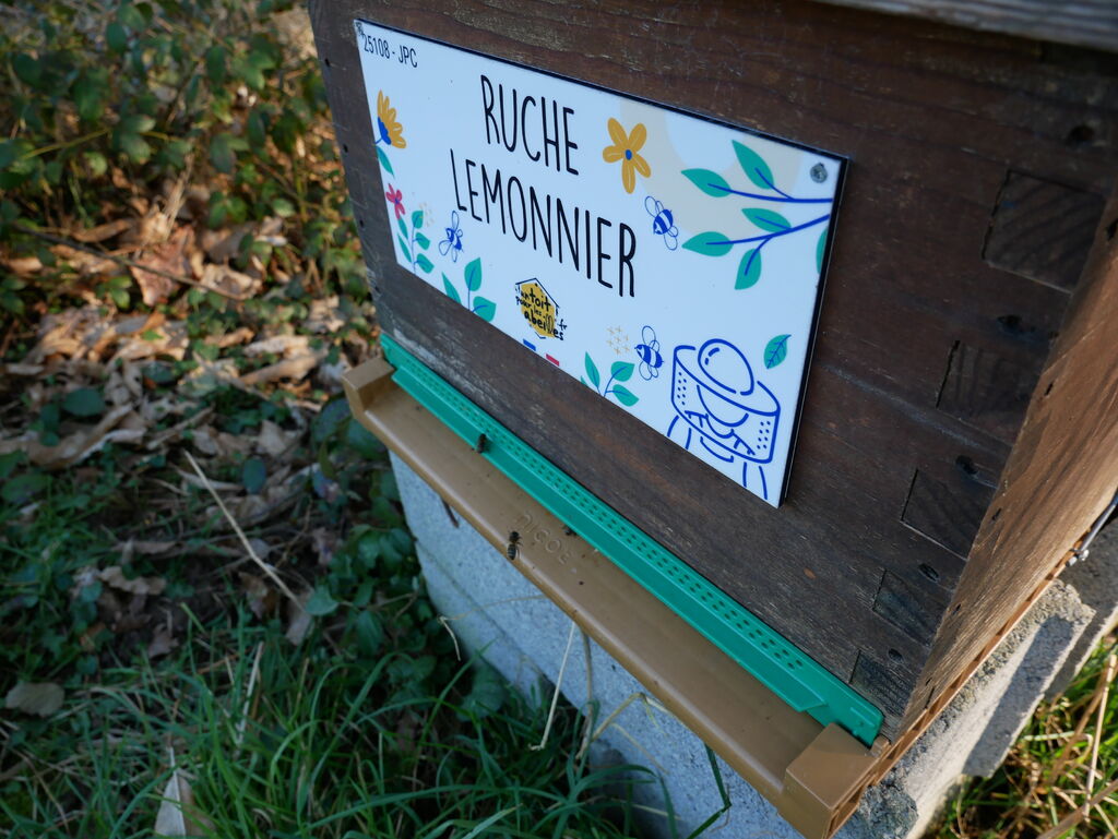 La ruche Lemonnier
