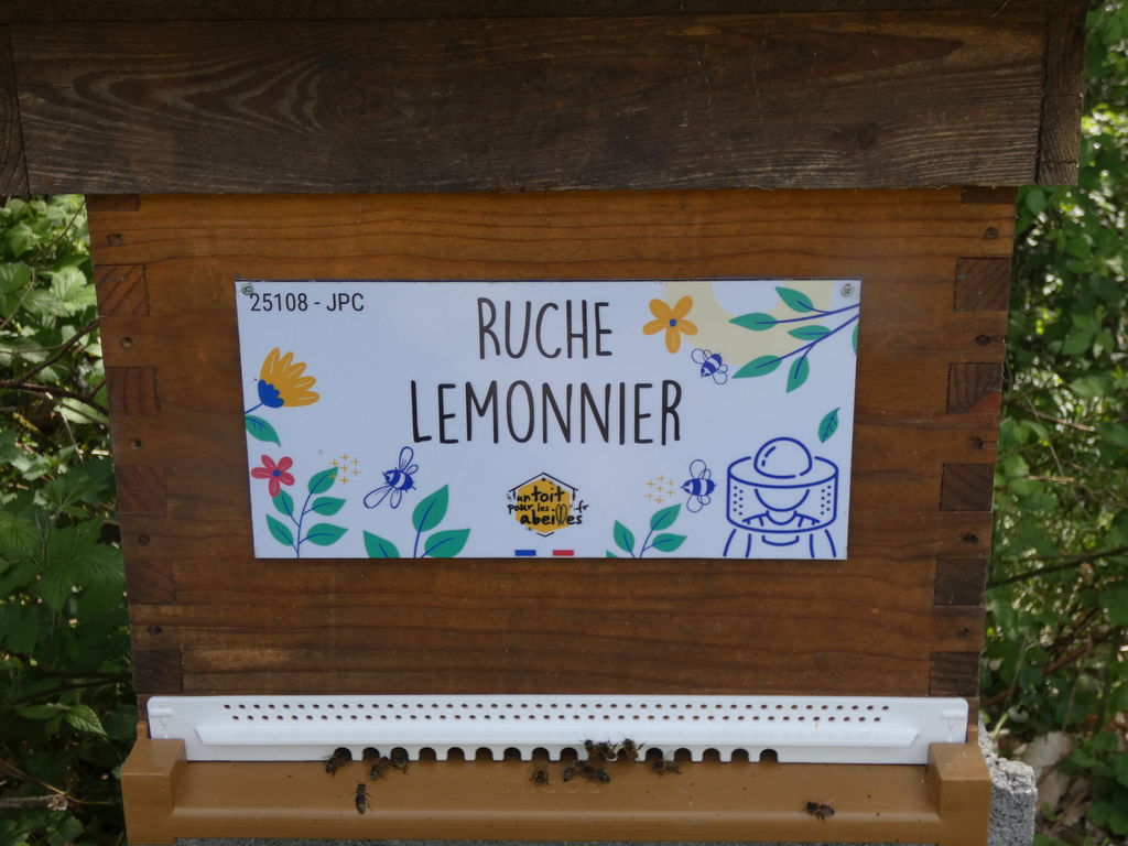 La ruche Lemonnier