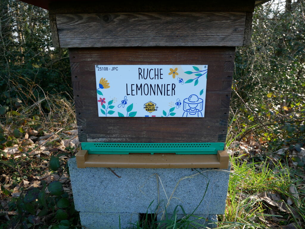 La ruche Lemonnier