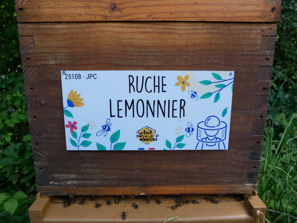 La ruche Lemonnier