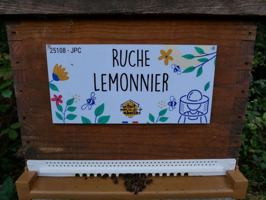 La ruche Lemonnier