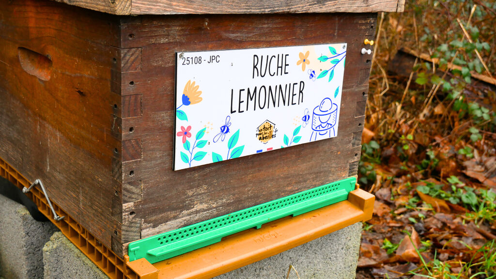 La ruche Lemonnier