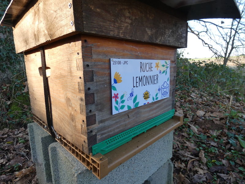 La ruche Lemonnier