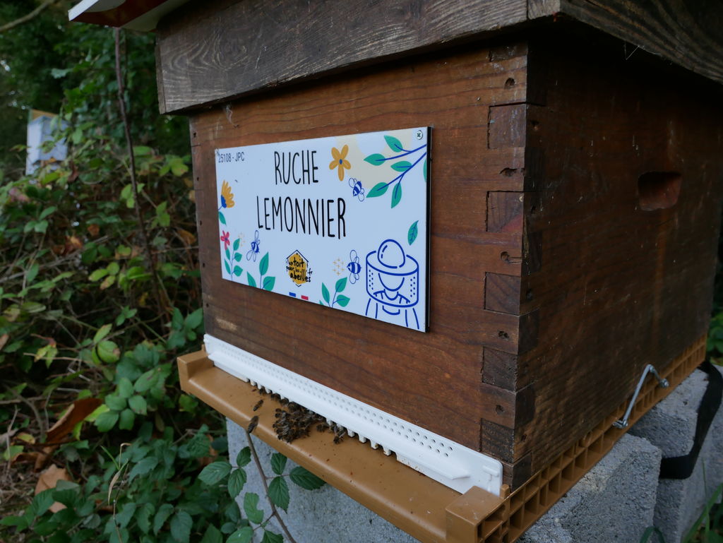 La ruche Lemonnier
