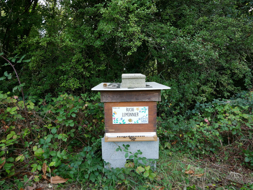 La ruche Lemonnier