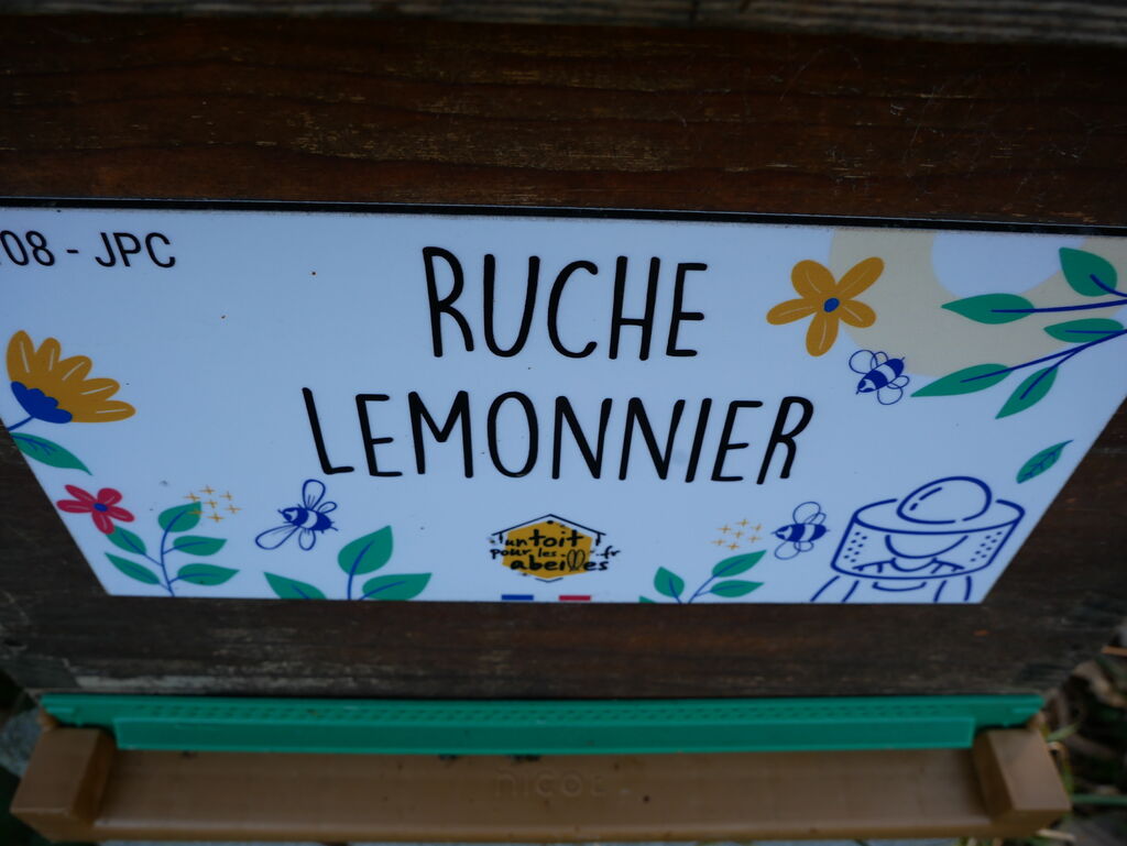 La ruche Lemonnier