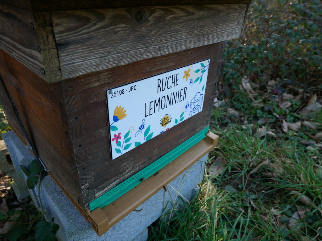 La ruche Lemonnier