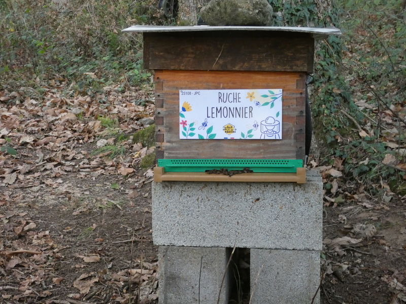 La ruche Lemonnier
