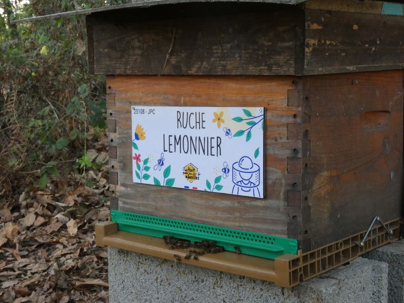 La ruche Lemonnier