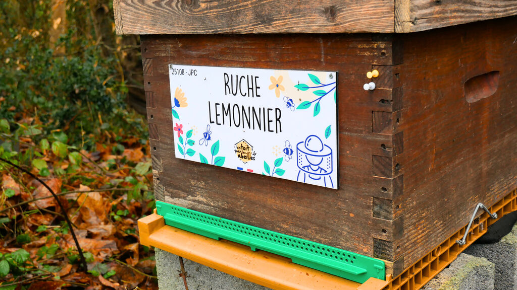 La ruche Lemonnier