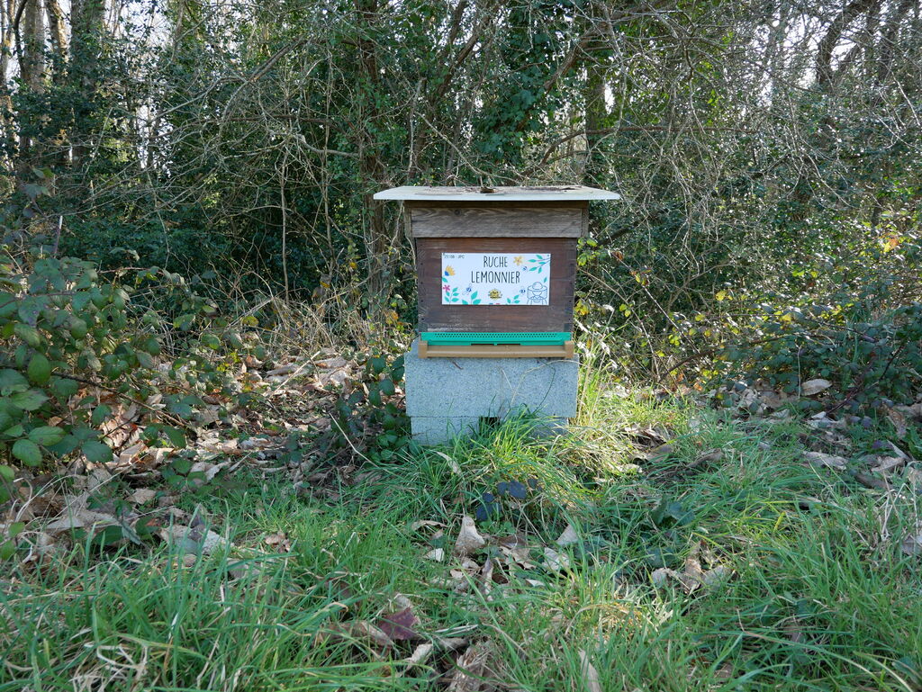 La ruche Lemonnier