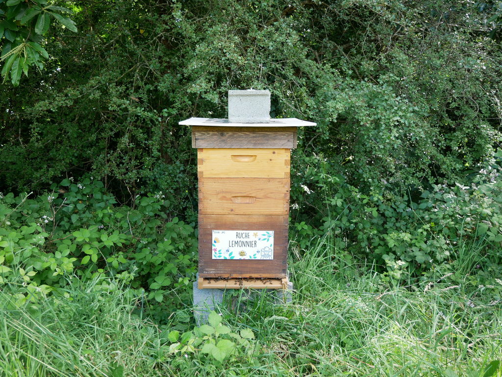 La ruche Lemonnier