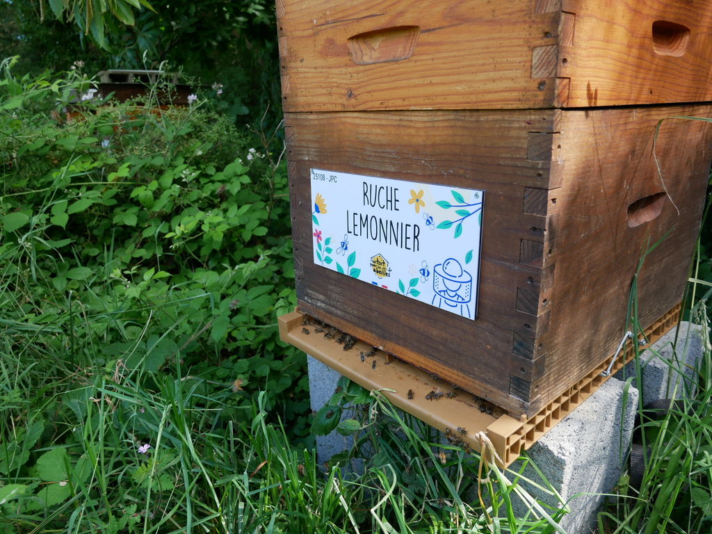 La ruche Lemonnier