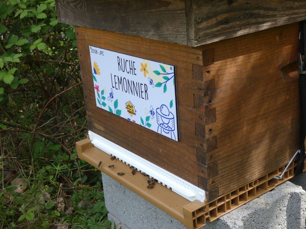 La ruche Lemonnier