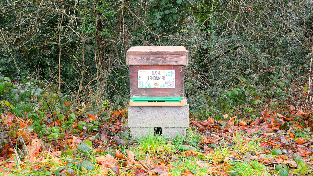 La ruche Lemonnier