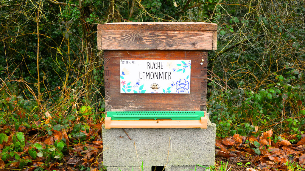 La ruche Lemonnier