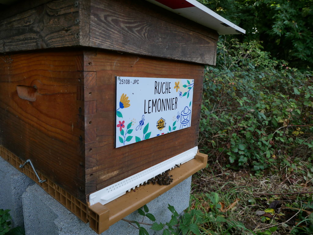 La ruche Lemonnier