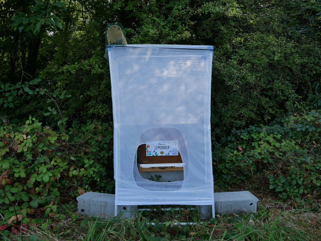 La ruche Lemonnier