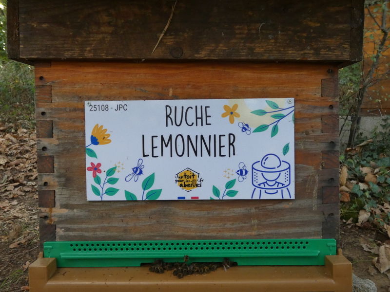 La ruche Lemonnier