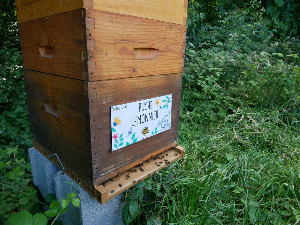 La ruche Lemonnier