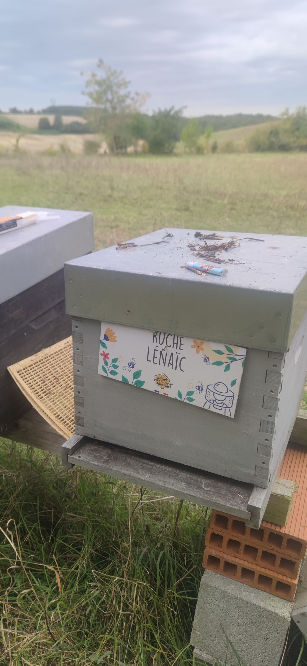 La ruche Lénaïc