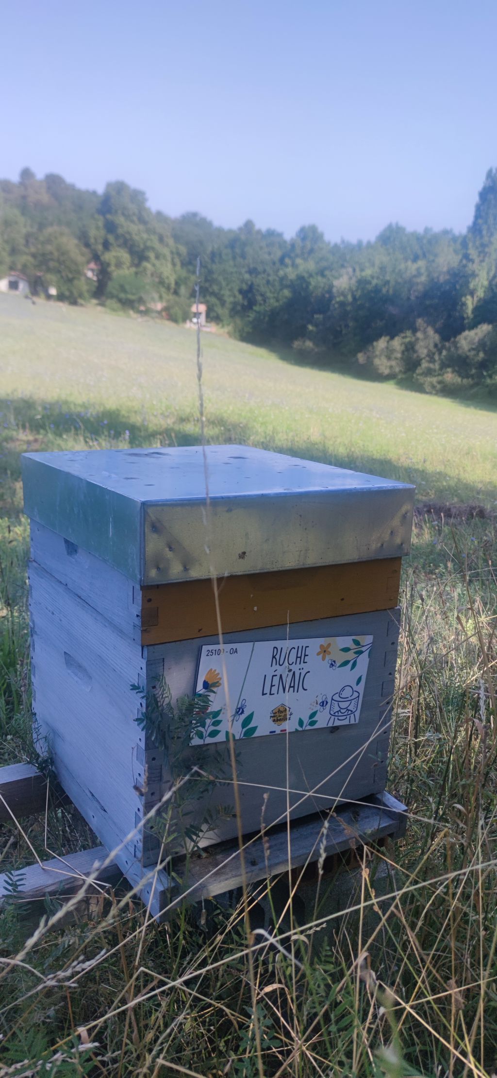 La ruche Lénaïc