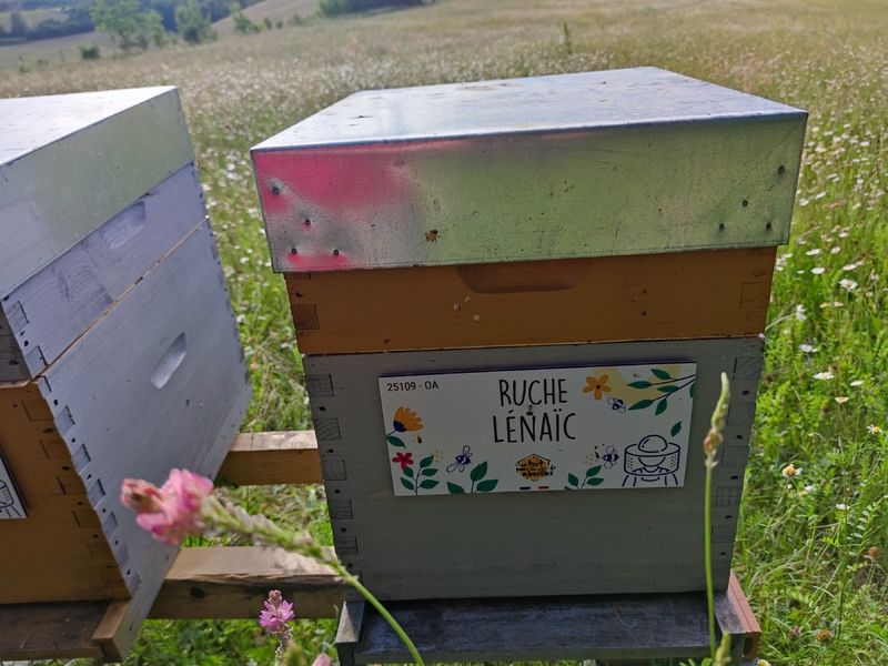 La ruche Lénaïc