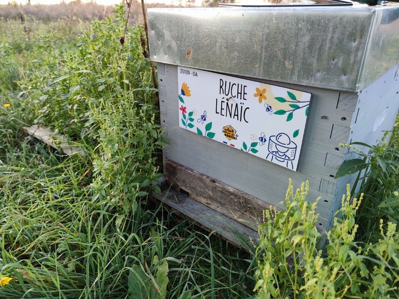 La ruche Lénaïc