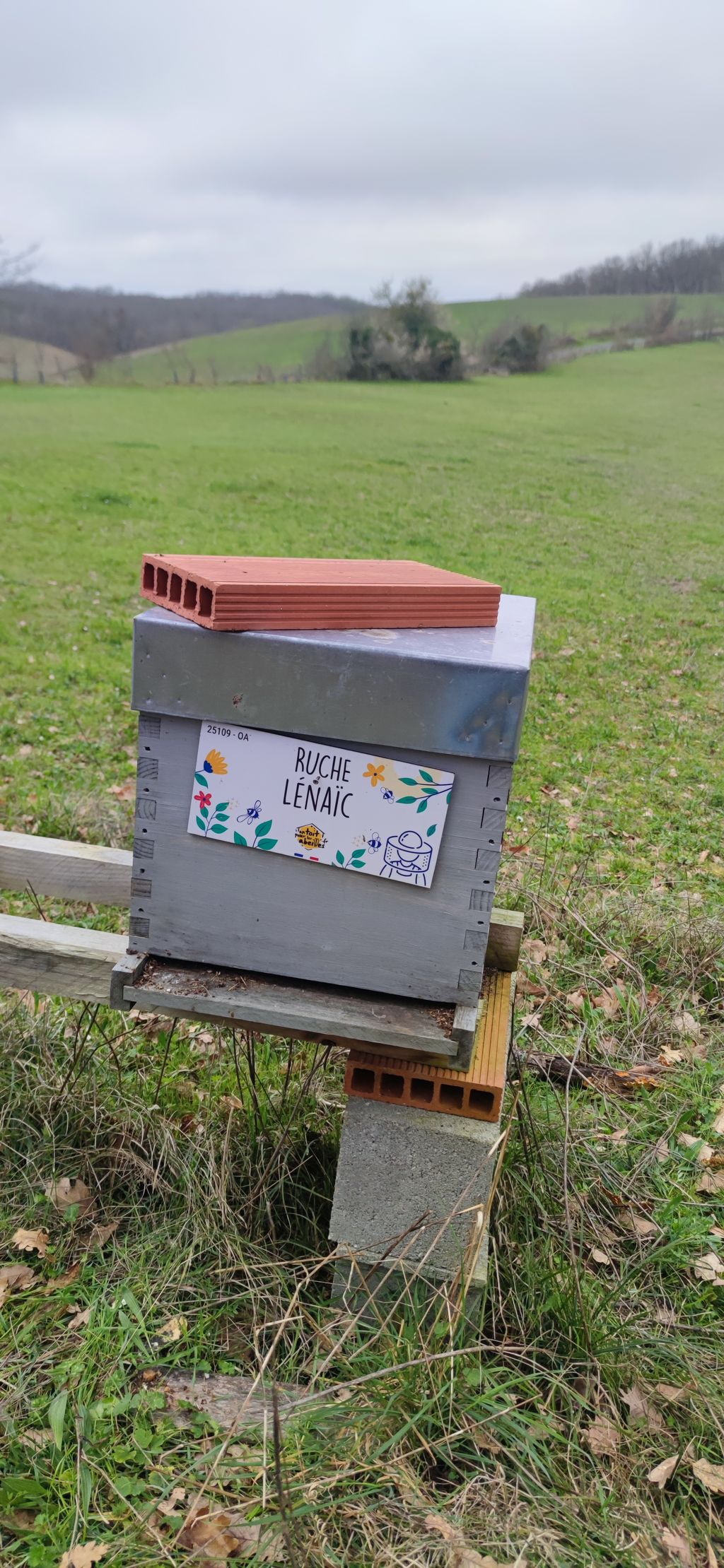 La ruche Lénaïc