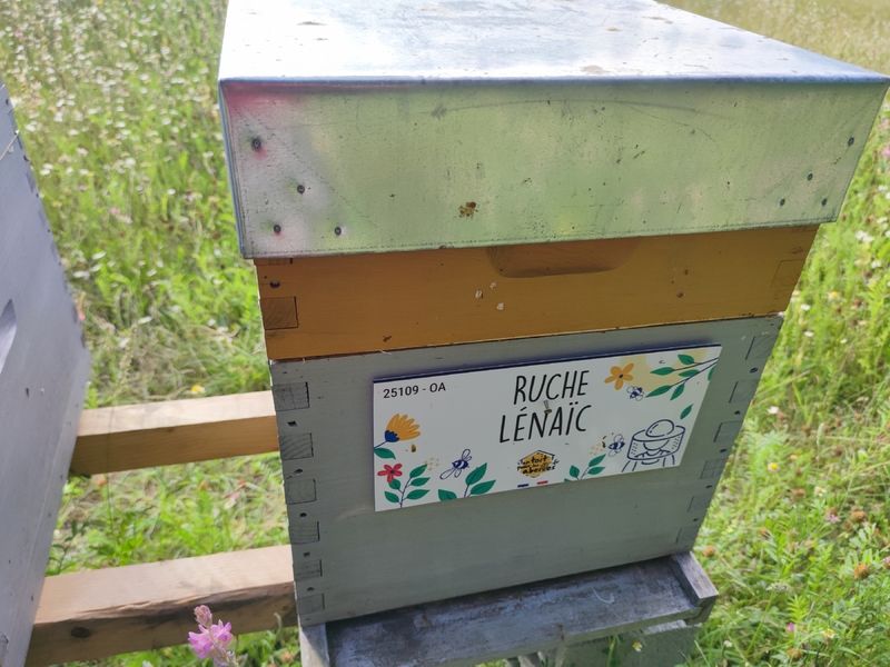 La ruche Lénaïc