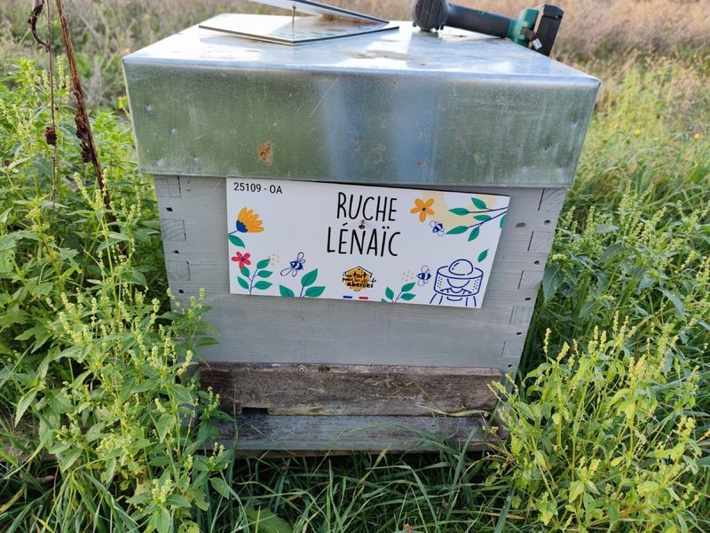 La ruche Lénaïc