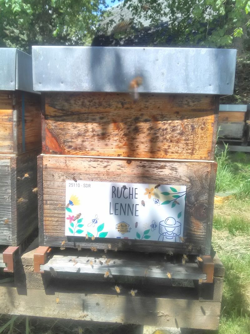 La ruche Lenne