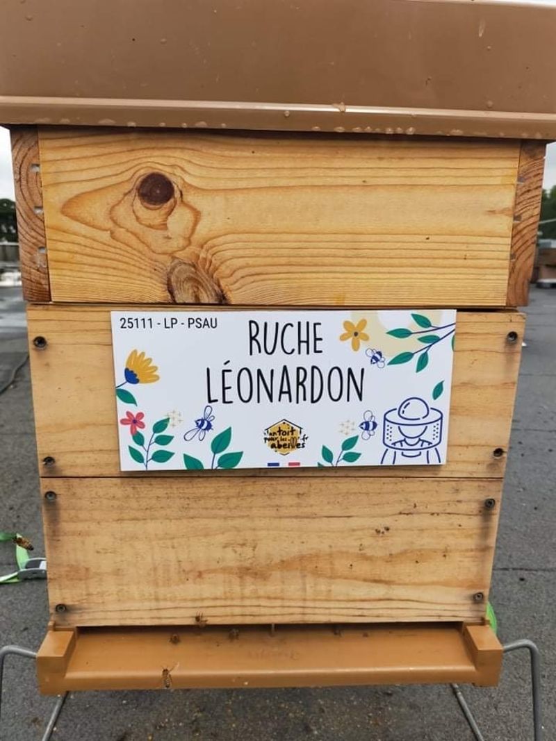 La ruche