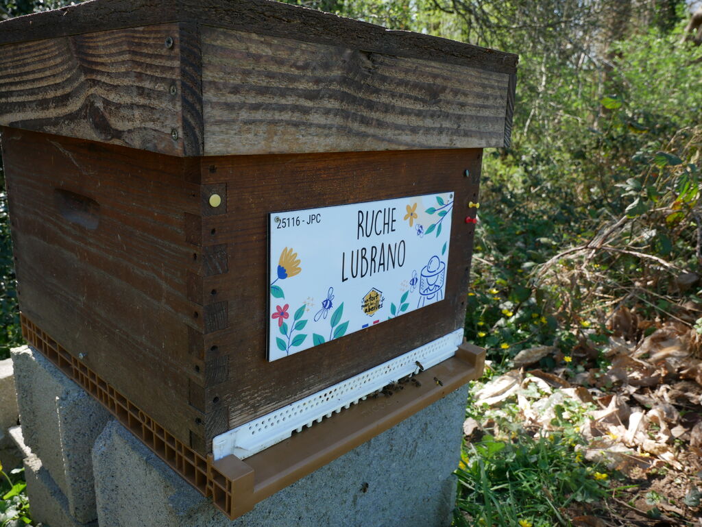 La ruche Lubrano